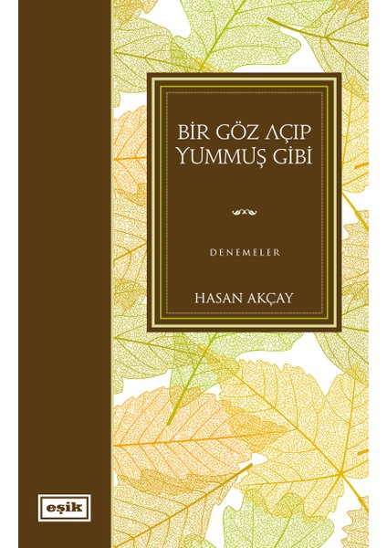 Bir Göz Açıp Yummuş Gibi | Hasan Akçay