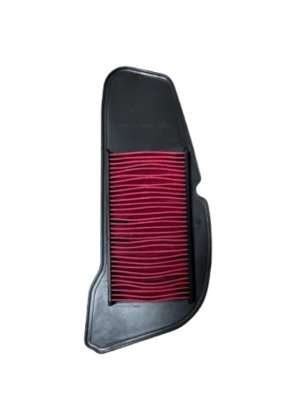 Yamaha Rayzr 125 Hava Filtresi