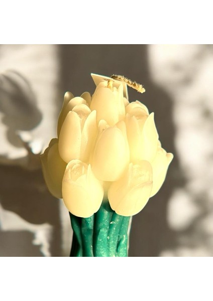 Lale Model Buket Mum fiyatları