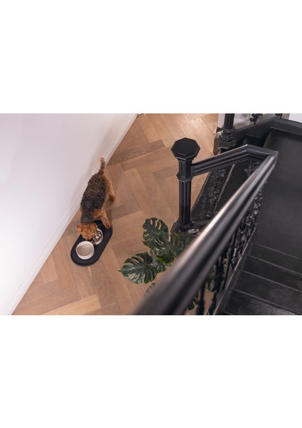 Dbl Köpek Mama Su Kabı, Bambu, Bej, 17CM, 800ML modelleri