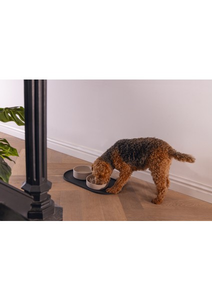 Dbl Köpek Mama Su Kabı, Bambu, Bej, 17CM, 800ML fırsatları