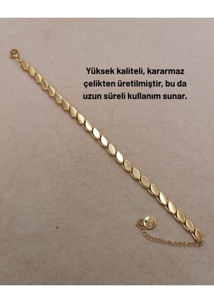 Zarif Arpa Çelik Zincir Bileklik