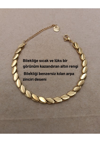Zarif Arpa Çelik Zincir Bileklik