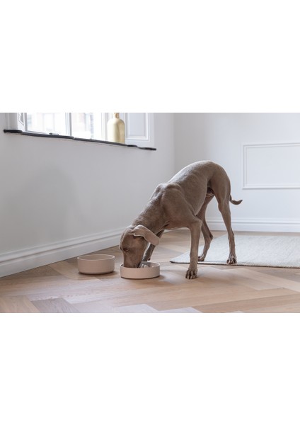 Dbl Köpek Yavaş Besleme Mama Kabı, Bambu, Bej, 21CM, 1430ML fırsatları