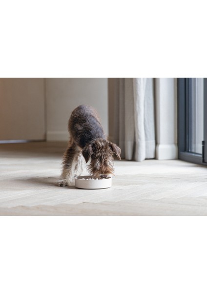 Dbl Köpek Yavaş Besleme Mama Kabı, Bambu, Bej, 17CM, 800ML fiyatları