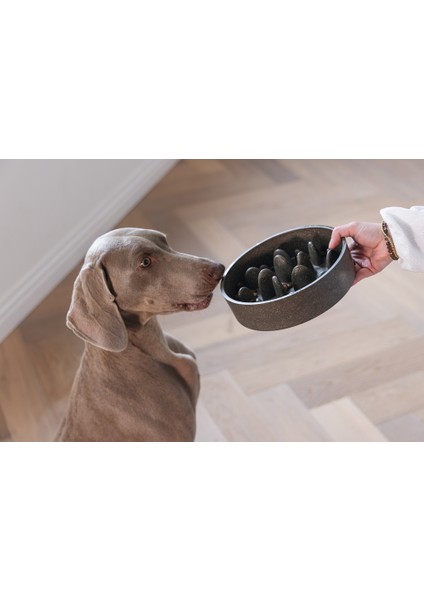 Dbl Köpek Yavaş Besleme Mama Kabı, Bambu, Antrasit, 21CM, 1430ML fiyatları