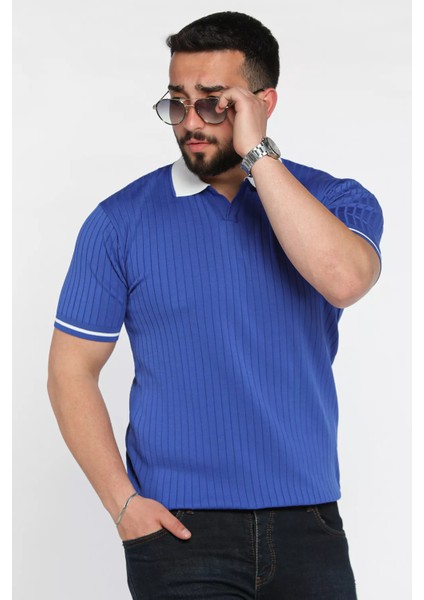 Erkek Polo Yaka Kendinden Çizgi Desenli Triko Tişört P-00016750 fiyatları