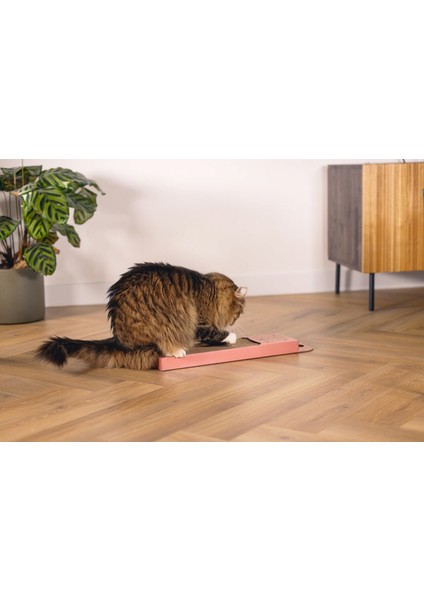 Kedi Karton Tırmalama, Pembe, 45CM Bstmy