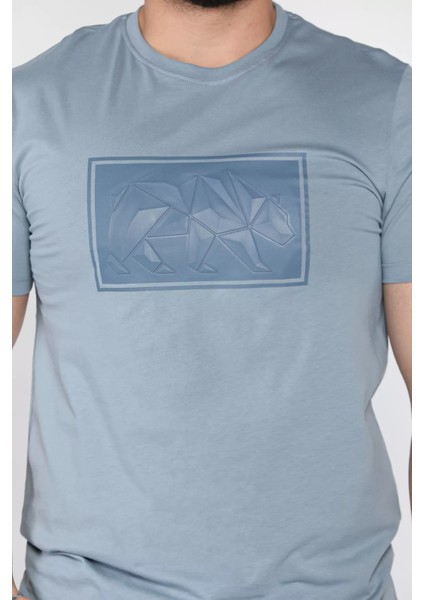 Erkek Bisiklet Yaka Baskılı Tişört P-00016830 modelleri