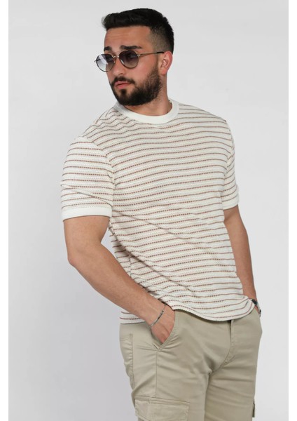 Çizgili Bisiklet Yaka Erkek Tişört P-00016826