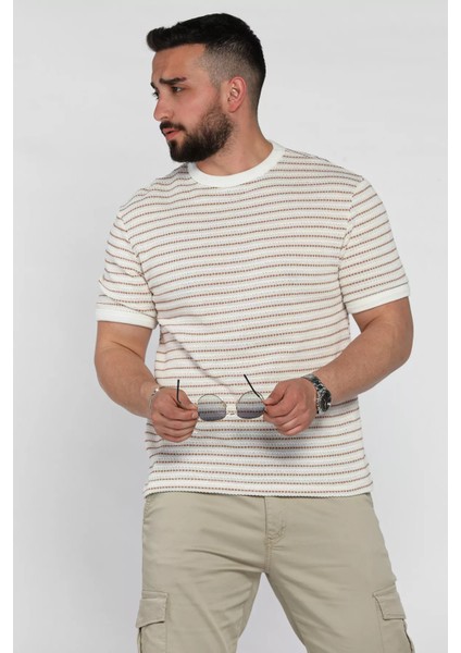 Çizgili Bisiklet Yaka Erkek Tişört P-00016826 fiyatları