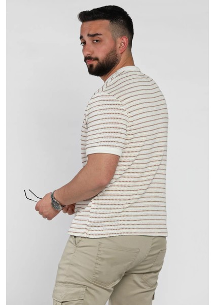 Çizgili Bisiklet Yaka Erkek Tişört P-00016826 modelleri