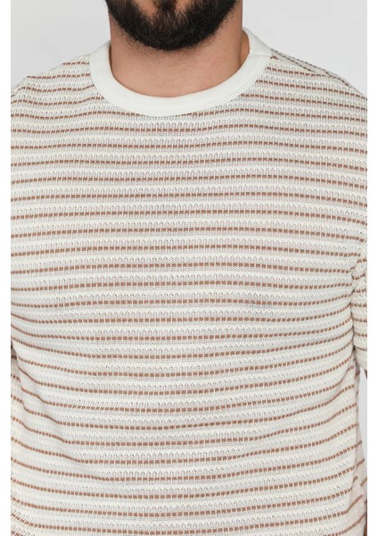 Çizgili Bisiklet Yaka Erkek Tişört P-00016826 fırsatları