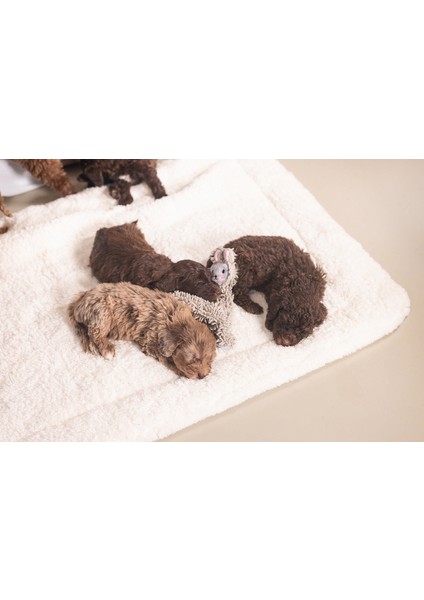Yavru Köpek Oyuncağı, Peluş, Gri, 37X28X4CM Bstmy