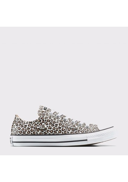 Converse Chuck Taylor All Star Leopard Kadın Sneaker Ayakkabı