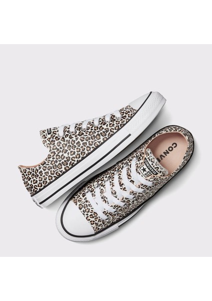 Converse Chuck Taylor All Star Leopard Kadın Sneaker Ayakkabı