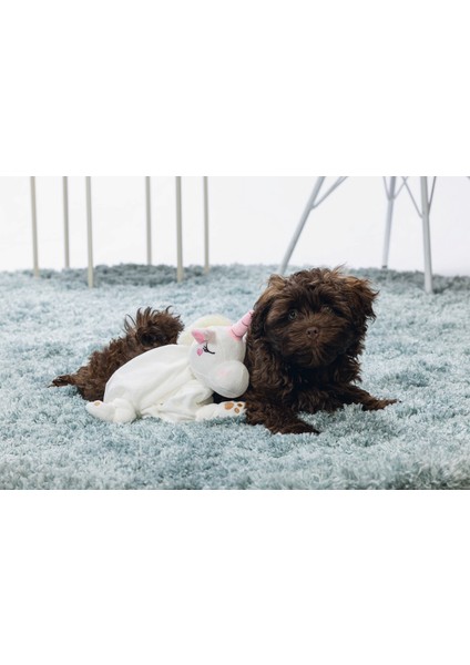 Yavru Köpek Oyuncağı, Unicorn, Peluş, Beyaz, 33X25X14CM Bstmy fiyatları