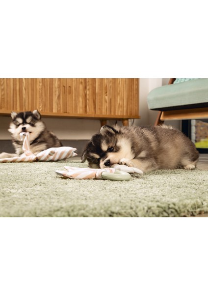 Yavru Köpek Diş Oyuncağı, Içi Dolu Halka ve Kumaş, Kauçuk, Yeşil, 8,5cm Bstmy