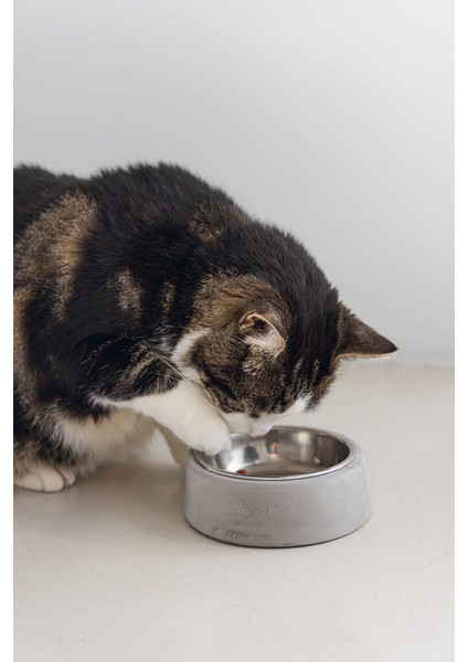 Dbl Kedi Mama Su Kabı, Paslanmaz Çelik, 12,5cm, 160ML Bstmy
