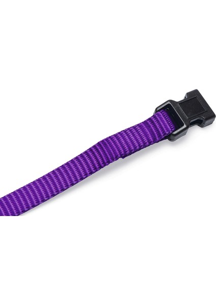 Yavru Köpek Boyun Tasması, Çeşitli Renklerde, 22-35CM, 10MM Bstmy