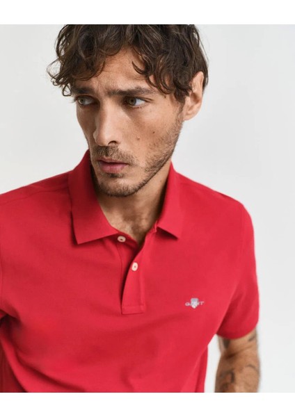 Polo Yaka Regular T-Shirt