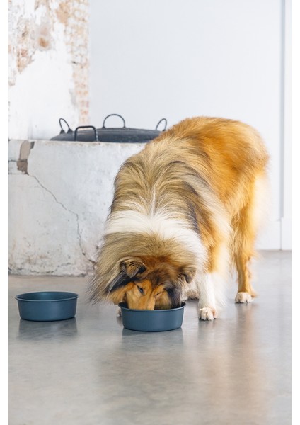 Dbl Köpek Mama Su Kabı, Mat Siyah Paslanmaz Çelik, 20CM, 1,9l