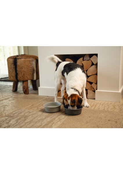 Dbl Köpek Mama Su Kabı, Mat Siyah Paslanmaz Çelik, 16CM, 940ML