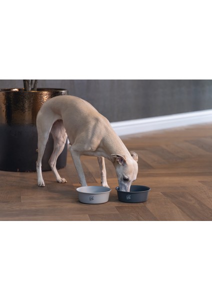 Dbl Köpek Mama Su Kabı, Mat Siyah Paslanmaz Çelik, 16CM, 940ML
