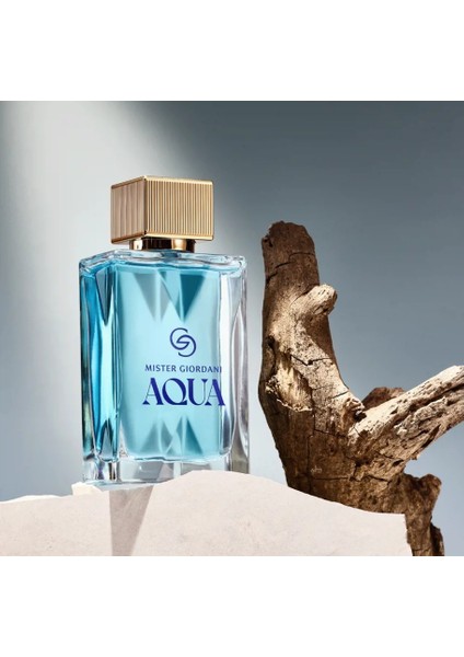 Giordani Gold Mister Giordani Aqua Eau De Parfum