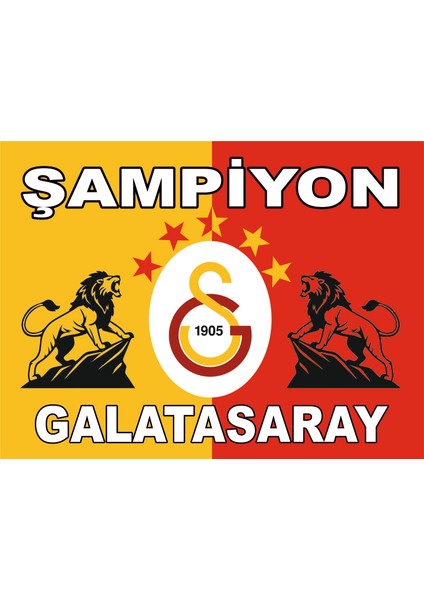 Realreklamdayiz Galatasaray 5 Yıldız Bayrak