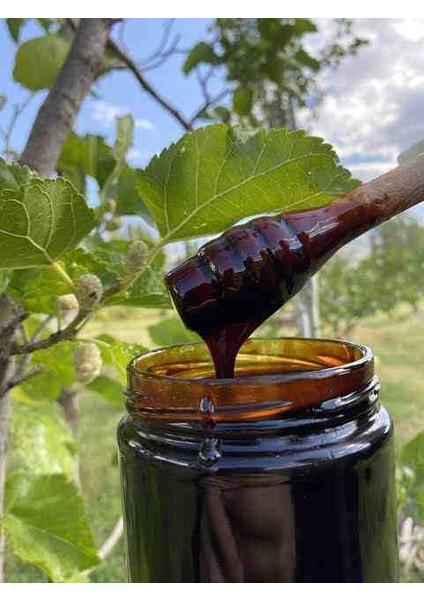 Dut Pekmezi Ev Yapımı 1 kg