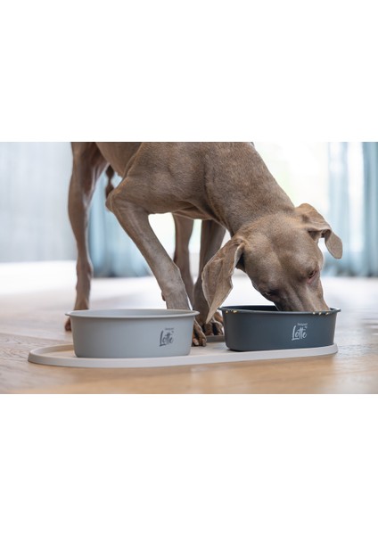 Dbl Köpek Mama Su Kabı, Mat Gri Paslanmaz Çelik, 20CM, 1,9l