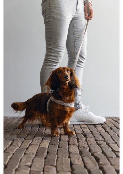 Dbl Köpek Göğüs Tasması, Velur, Gri, S, 20MM x 52CM Bstmy