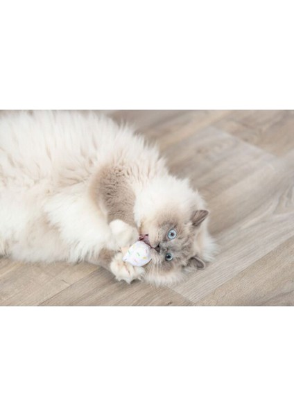 Kedi Oyuncağı, Dondurma ve Kek Şeklinde, Peluş, Kediotlu 7cm Bstmy