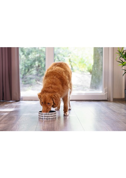 Köpek Mama Su Kabı, Seramik, Yeşil Beyaz, 18CM, 1200ML Bstmy