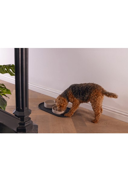 Dbl Köpek Mama Su Kabı, Bambu, Bej, 17CM, 800ML Bstmy