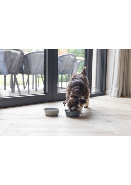 Dbl Köpek Mama Su Kabı, Mat Gri Paslanmaz Çelik, 16CM, 940ML