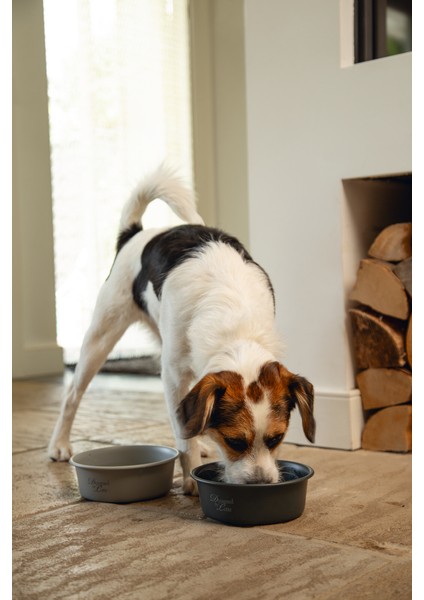 Dbl Köpek Mama Su Kabı, Mat Gri Paslanmaz Çelik, 16CM, 940ML