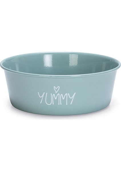 Yavru Köpek Mama Su Kabı, Paslanmaz Çelik, Kaymaz Taban, Turkuaz, 16CM, 940ML Bstmy