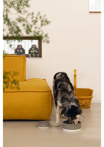 Dbl Köpek Mama Su Kabı, Seramik, Mat Gri, 13CM, 160ML Bstmy