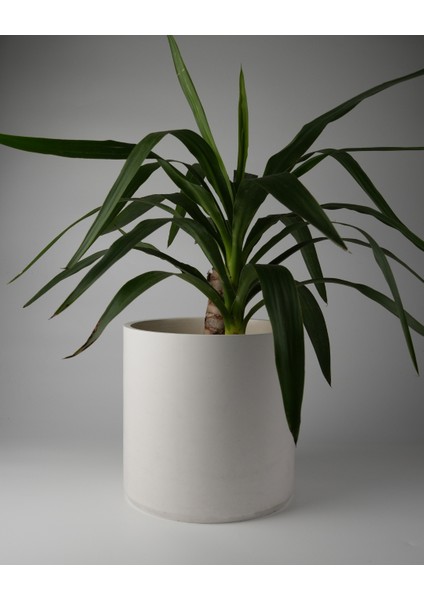 Dekoratif Beton Saksı 25 cm - Delikli+Tabak / Deliksiz - 12L