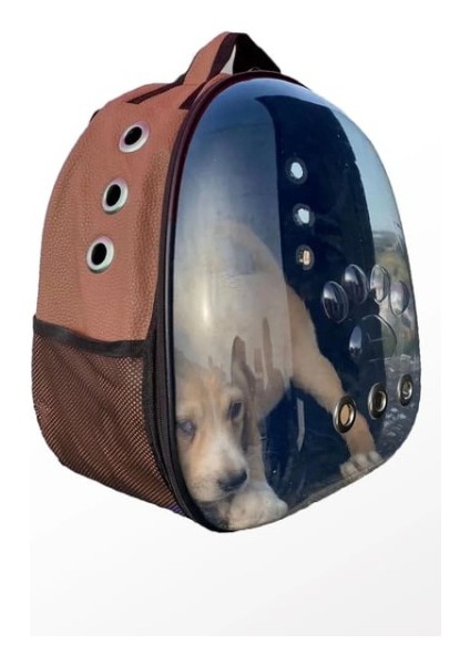 Deri Astronot Kedi ve Köpek Taşıma Çantası Kahverengi
