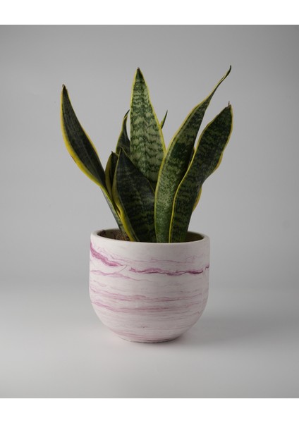 Dekoratif Beton Saksı - Orta Boy Yuvalak - 15X14CM 2l