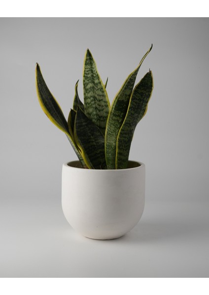 Dekoratif Beton Saksı - Orta Boy Yuvalak - 15X14CM 2l