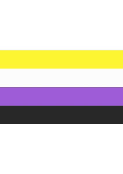 Lgbtq Nonbınary Bayrağı 100X150