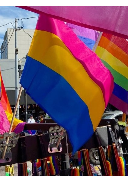 Lgbtq Pansexualıty Bayrağı 70X105