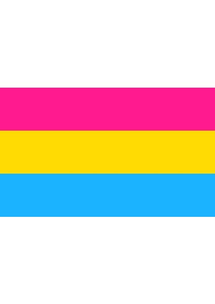 Lgbtq Pansexualıty Bayrağı 70X105