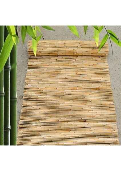 Kamış Çit Bambu Çit Hasır Çit 1,5 x 2,5 Metre Yükseklik 1,5 Metre En 2,5 Metre Doğal Kamış Gölgelik