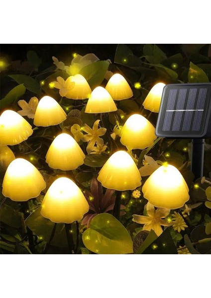 Solar Mantar Lamba & Büyülü Bir Atmosfer Katın!
