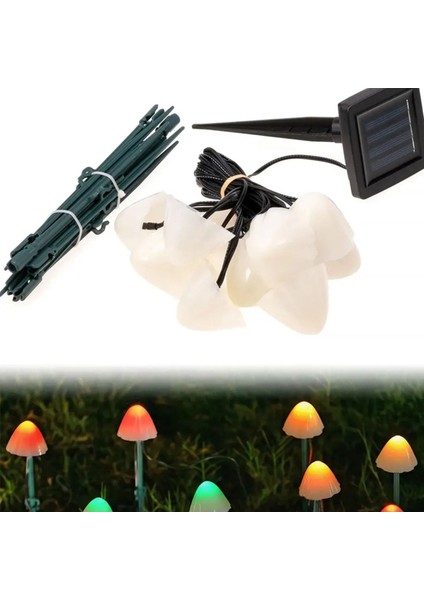 Solar Mantar Lamba & Büyülü Bir Atmosfer Katın!